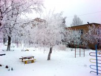 Зимние узоры